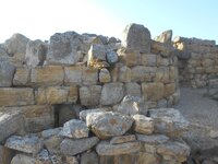 DSCN5681.JPG