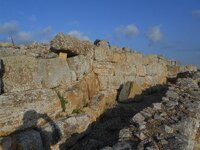 DSCN5686.JPG