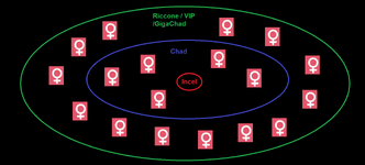 1746476357046.png