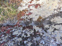 DSCN5691.JPG