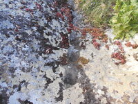 DSCN5692.JPG
