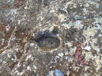 DSCN5694.JPG