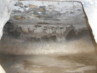DSCN5705.JPG