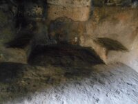 DSCN5719.JPG