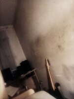 IMG_20250507_010656.jpg