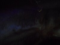 DSCN5726.JPG