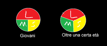 LSM diagramma a torta.png