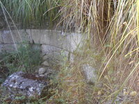 DSCN5741.JPG