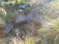 DSCN5747.JPG