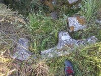 DSCN5749.JPG