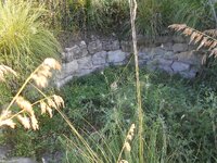 DSCN5750.JPG