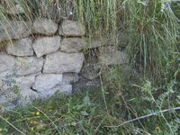 DSCN5751.JPG