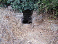 DSCN5297.JPG