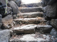 DSCN5303.JPG
