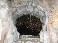 DSCN5304.JPG
