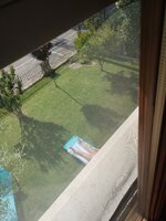 IMG_20250526_170810555.jpg
