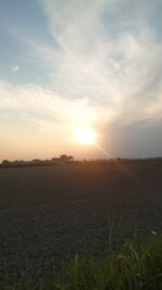 IMG_20250526_200225_437.jpg