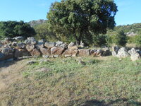 DSCN5754.JPG