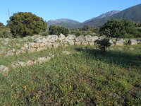 DSCN5780.JPG