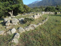 DSCN5781.JPG