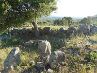 DSCN5783.JPG