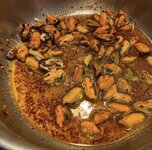 IMG_0916.jpeg