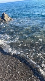 950217C0-8A7B-453E-BD0D-493D9004216F.jpeg