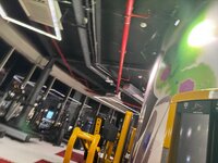 IMG_3905.jpeg