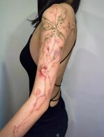 1000065205.jpg