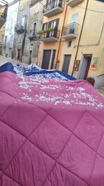 39D2BDD7-45E4-4C7C-97B5-BC7BE946A195.jpeg