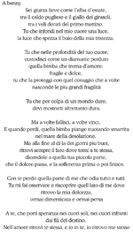 Sei giunta lieve come l’alba d’estate, tra il caldo pugliese e il giallo dei girasoli, tra i v...png