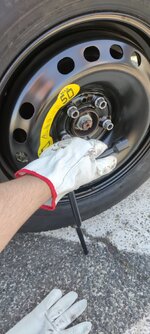 IMG_20250620_091435.jpg