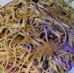 IMG_1199.jpeg