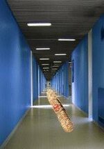 images (17).jpeg