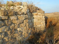 DSCN5875.JPG