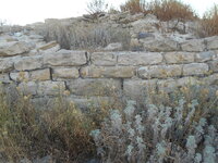 DSCN5898.JPG