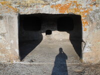 DSCN5321.JPG