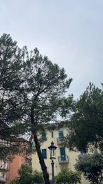 99B85DC4-2B05-4B77-84EF-AF0EF0406075.jpeg