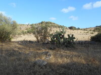 DSCN5917.JPG DSCN5917.JPG