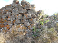 DSCN5919.JPG