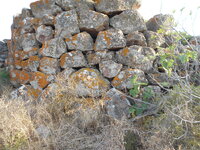DSCN5920.JPG