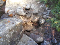 DSCN5923.JPG