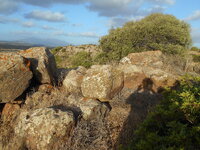 DSCN5924.JPG