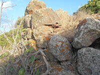 DSCN5922.JPG