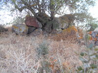 DSCN5928.JPG