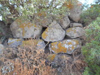 DSCN5929.JPG