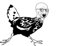 IMG_0558.jpeg