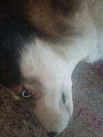 20250729_113608.jpg