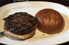 IMG_1247.jpeg