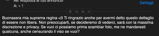 Schermata 2025-07-30 alle 16.29.03.png